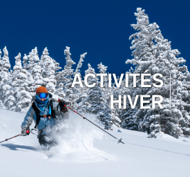 Activité hiver