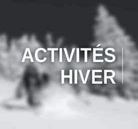 Activité hiver